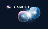 Starknet Token Price: What's Driving the Surge?